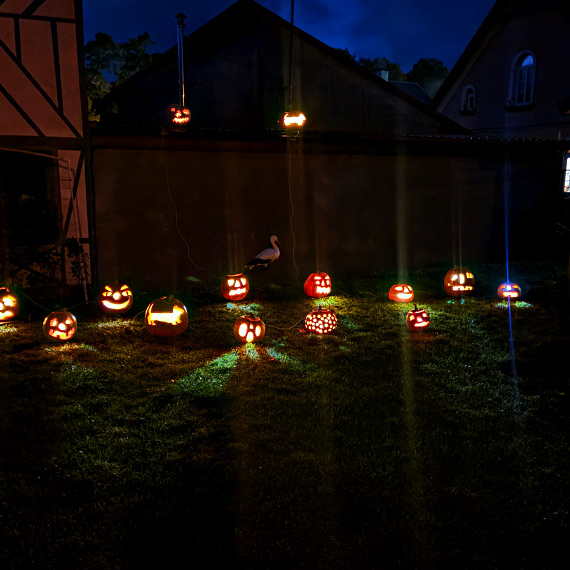 W Wisełce już straszą! Halloweenowe dekoracje rozświetliły ogród!