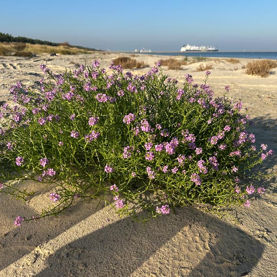 Realne dzia�ania na rzecz ochrony �rodowiska