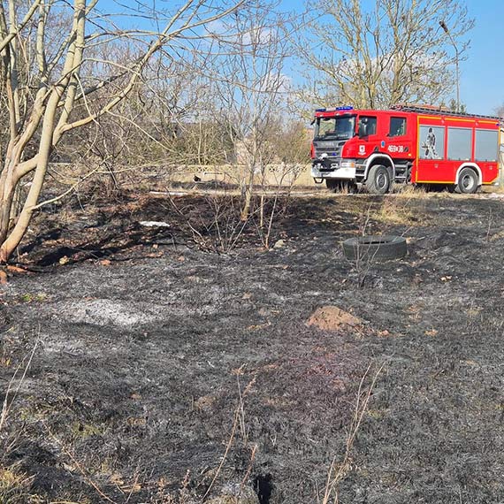 Po�ar traw w Ostromicach. Na miejscu stra�acy z OSP Wolin i JRG Mi�dzyzdroje