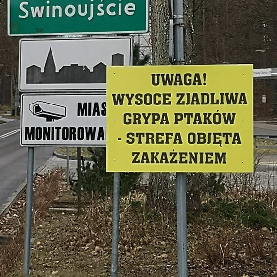 Tablice o ptasiej grypie przy granicy w Świnoujściu. Rozporządzenie obowiązuje od lutego, mieszkańcy dowiadują się dopiero teraz
