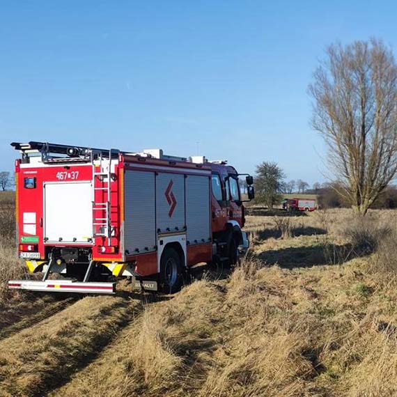 Pożar trzciny w Sibinie. Do akcji ruszyła OSP Jarszewo