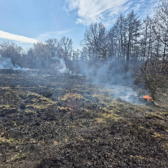Pożar traw w Zagórzu. Strażacy w akcji, ogień szybko się rozprzestrzeniał