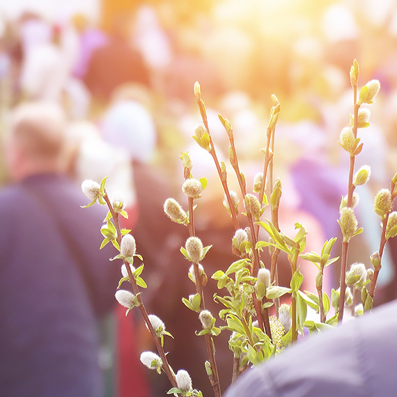 Niedziela Palmowa 2026. Gdzie i o której procesje